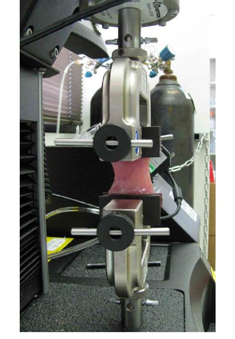 uniaxial testing of soft tissue|uniaxial tensile testing cuttings.